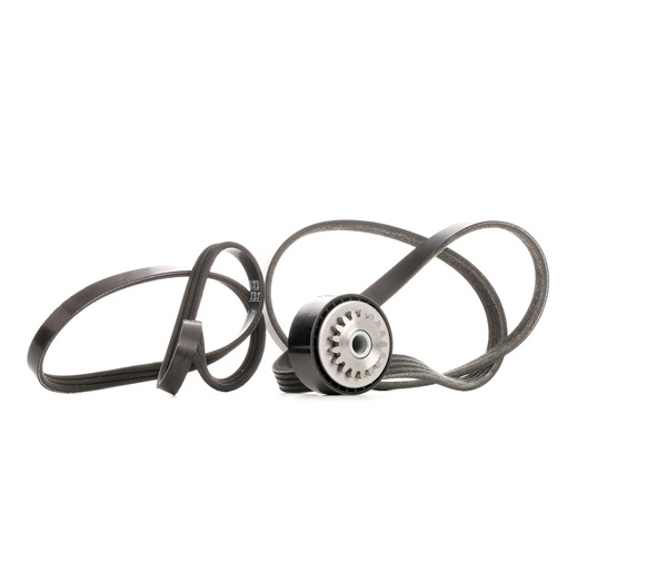 STARK SKRBS-1200582 Jogo de correias trapezoidais estriadas RENAULT CLIO 2 (BB0/1/2, CB0/1/2) 54 cv Gasolina custo