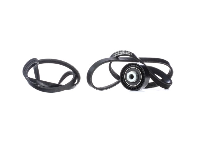 RIDEX 542R0583 Jogo de correias trapezoidais estriadas RENAULT CLIO 2 (BB0/1/2, CB0/1/2) 54 cv Gasolina custo