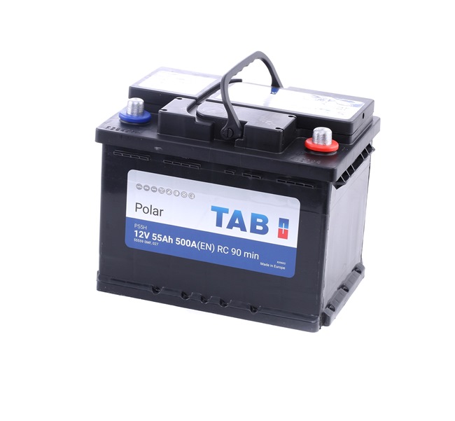 TAB 246455: Batería Polar