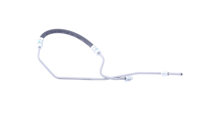 RIDEX 83B0613 Ελαστικός σωλήνας φρένων RENAULT SCENIC 3 (JZ0/1) 95 PS Πετρέλαιο κόστος