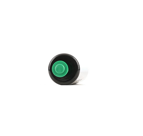 RIDEX 458F13811: Kraftstoffpumpe elektrisch, 105l/h