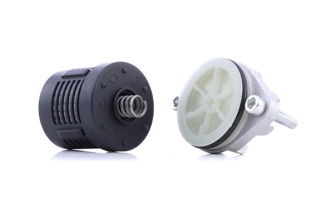 RIDEX 3502O0004: Ölfilter, Differential