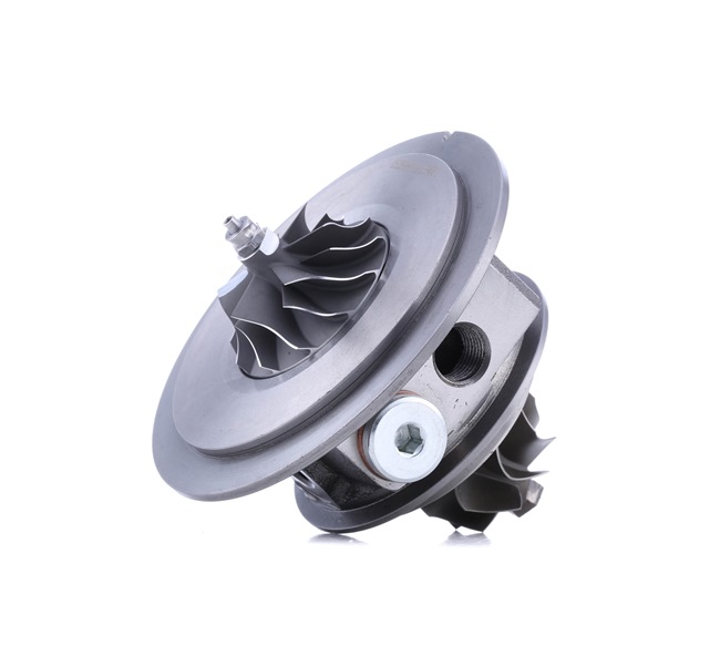 RIDEX 4973C0098: Rumpfgruppe, Lader mit Dichtung