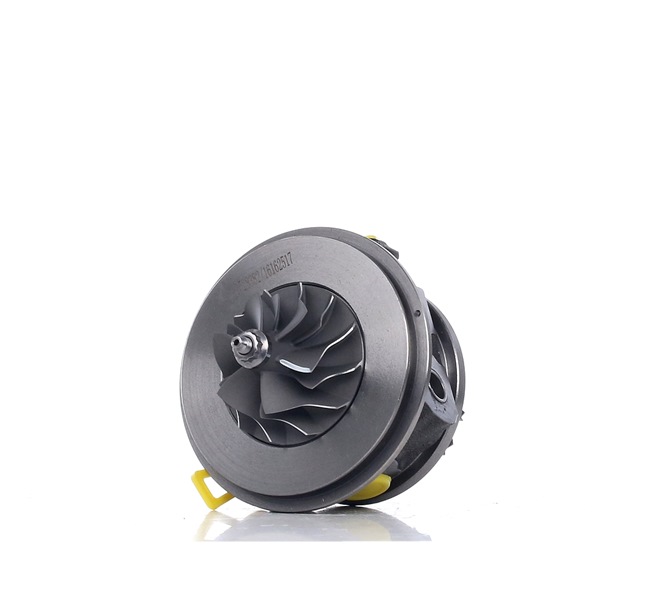 RIDEX 4973C0100: Rumpfgruppe, Lader