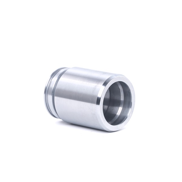 RIDEX 2248P0055 Piston, étrier de frein RENAULT ESPACE 4 (JK0/1) 173 CV Diesel coût