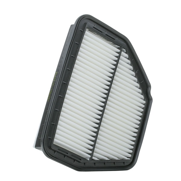 RIDEX 8A1630: Luftfilter mit Vorfilter
