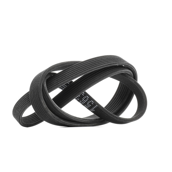RIDEX 305P0486 Multiriem BMW 5 Touring (F11) 204 Pk Diesel kosten