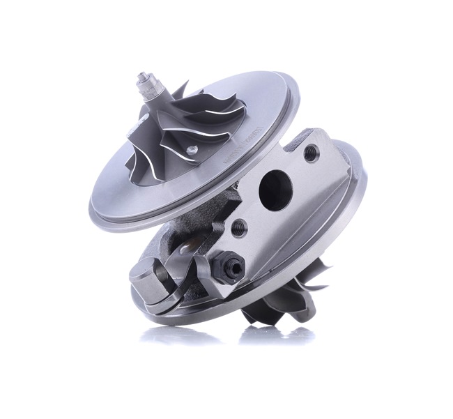 RIDEX 4973C0101 Coreassy turbina VOLKSWAGEN Golf 5 (1K5) 105 CV Diesel costo