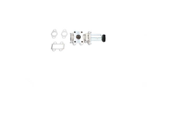 KAVO PARTS EEG-9024: Válvula EGR con junta