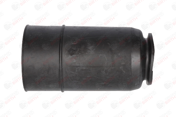 BIRTH 54288: Caperuza protectora / fuelle, amortiguador eje trasero ambos lados