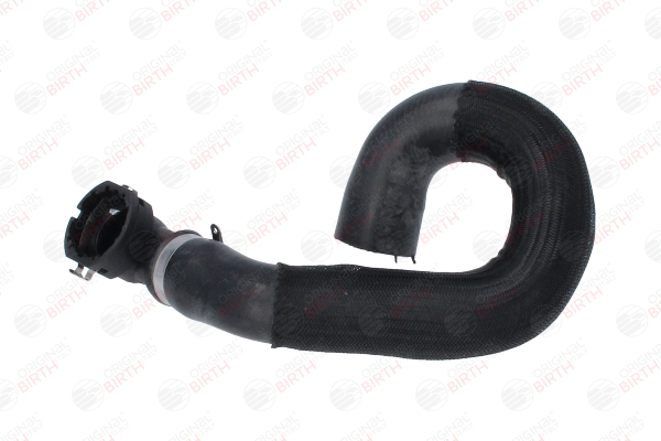 BIRTH 54753: Furtun radiator punte fata, deasupra