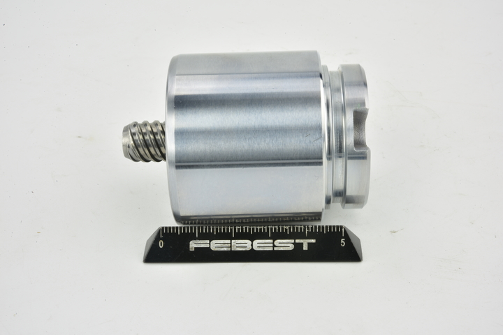 FEBEST 2176-TTGR: Kolben, Bremssattel Hinterachse