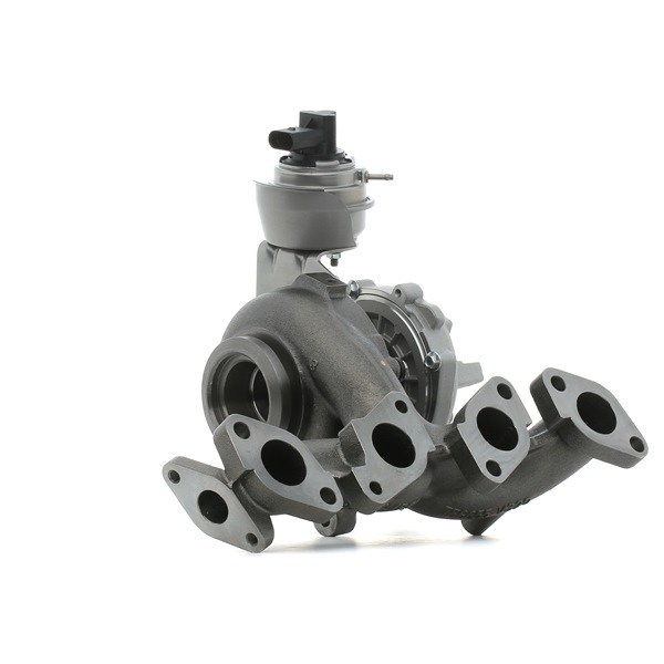 RIDEX 2234C10484 Turbodmychadlo VW Passat Variant (3C5) 163 HP Diesel cena