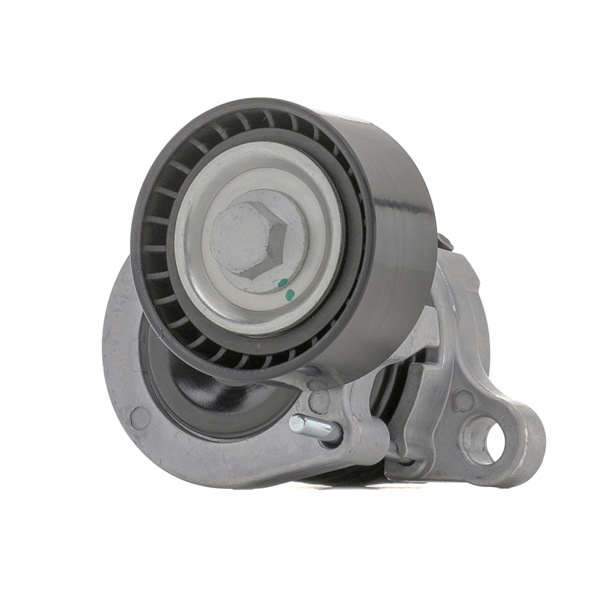 RIDEX 310T0427: Poulie, tendeur de courroie d'accessoire Ø: 55mm