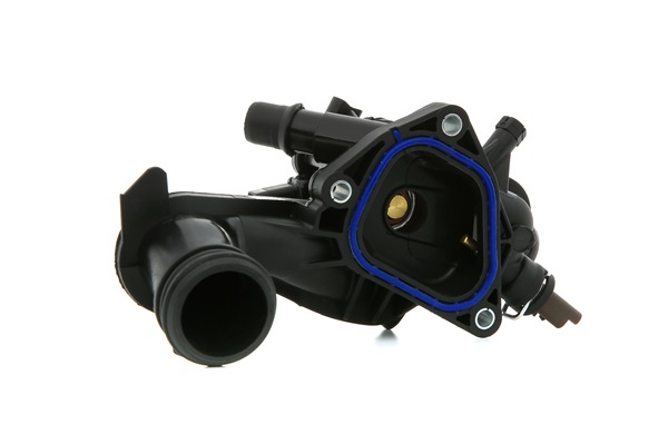 RIDEX 316T0331 Kühlwasserthermostat CITROЁN C5 III Kombi (RW_) 120 PS Benzin Kosten
