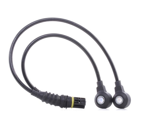 RIDEX 3921K0047 Klopfsensor BMW 5 Limousine (E39) 520 i 163 PS Benzin