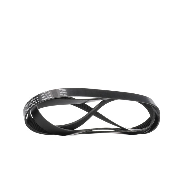 RIDEX 305P0488: Curea transmisie cu caneluri 2875mm, Numar nervuri: 7