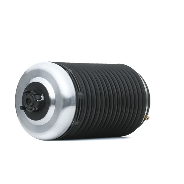 RIDEX 4119A0083: Ressort pneumatique Essieu arrière