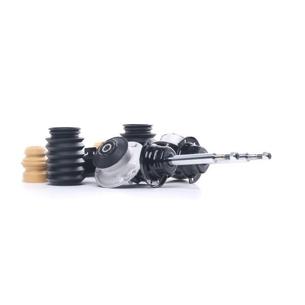 RIDEX 1185S0010: Stoßdämpfer-Set