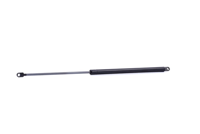 RIDEX 219G0985: Heckklappendämpfer 585mm