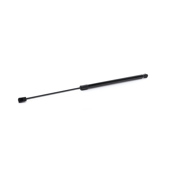 RIDEX 219G0989: Amortizor portbagaj spate