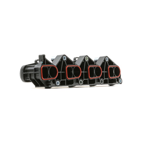 RIDEX 1640F0027: Frame, inlaatspruitstuk
