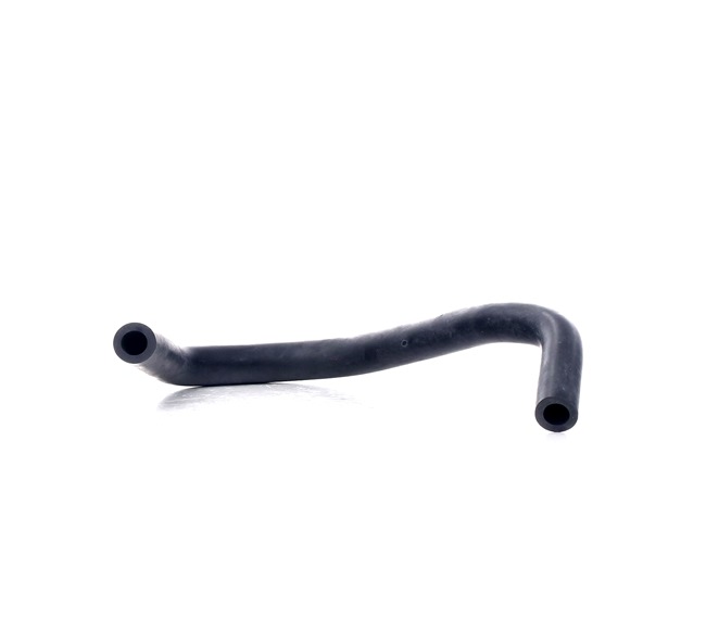 RIDEX 1600H16000038 Slang, vevhusventilation FORD C-MAX (DM2) 90 hk Diesel kostnad