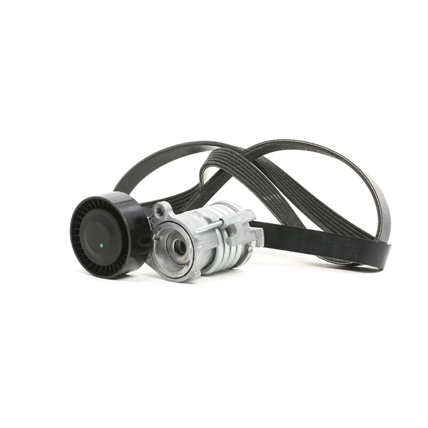 RIDEX 542R0630 Σετ ιμάντων poly-V SEAT Toledo 4 (KG3) 75 PS Βενζίνη κόστος