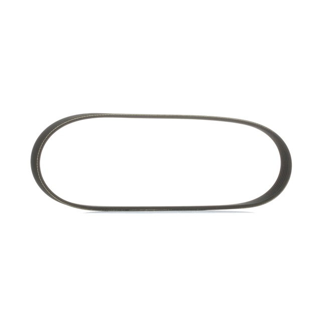 RIDEX 305P0495 Multiriem PEUGEOT 207 (WA_, WC_) 174 Pk Benzine kosten