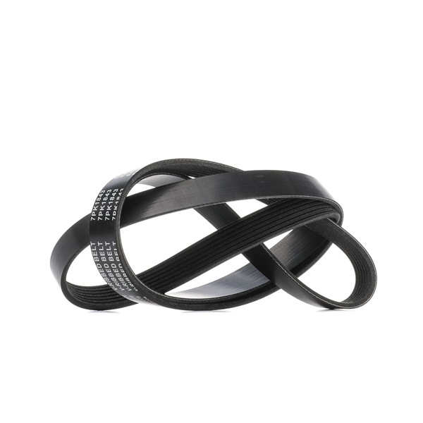 RIDEX 305P0496: Curea transmisie cu caneluri 1843mm, Numar nervuri: 7