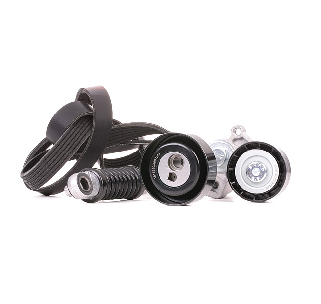 RIDEX 542R0639 Poly V-riem set FIAT SCUDO Open laadbak/ Chassis (220_) 92 Pk Diesel kosten