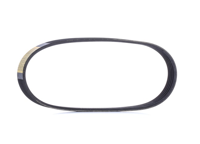 RIDEX 305P0498 Multiriem ALFA ROMEO 159 (939) 210 Pk Diesel kosten