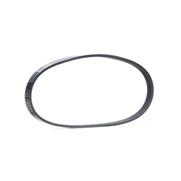 RIDEX 305P0502 Cinghia servizi LANCIA YPSILON (843) 78 CV Benzina costo