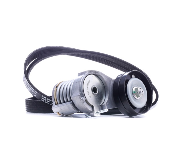 RIDEX 542R0647: Kit Cinghie Poly-V