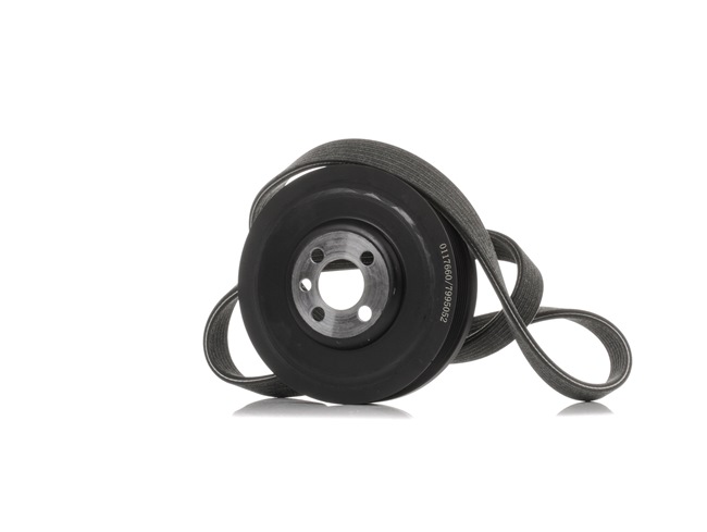 STARK SKRBS-1200647: Poly V-riem set