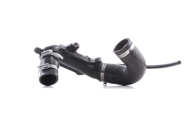 RIDEX 3314C0378 Hadicka plniciho vzduchu RENAULT CLIO 2 (BB0/1/2, CB0/1/2) 82 HP Diesel cena