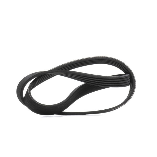 RIDEX 305P0503: Ozubený klínový řemen 925mm, Počet žeber: 5