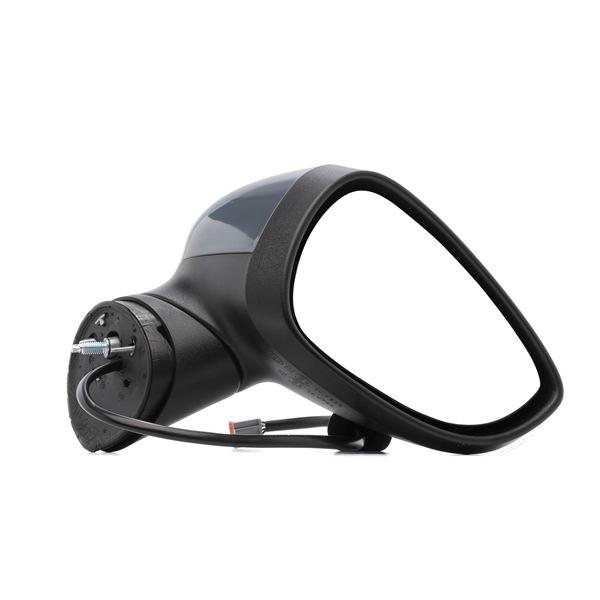 RIDEX 50O1174: Espejo retrovisor derecha
