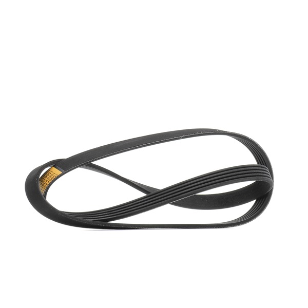 RIDEX 305P0505: Correa trapecial poli V 1310mm, Número de nervaduras: 5