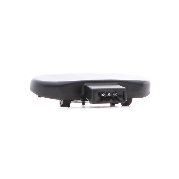 RIDEX 303W0042: Diuza, spalare parbriz stanga, Capota motor, pt. curatare parbriz