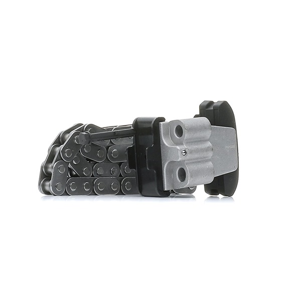 RIDEX 1389T2594 Steuerkettensatz CITROЁN C5 II Break (RE_) 170 PS Diesel Kosten