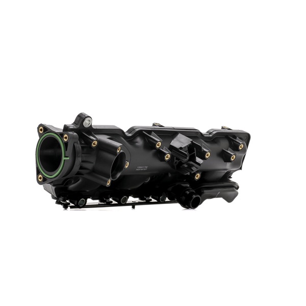 RIDEX 1640F0031: Frame, inlaatspruitstuk
