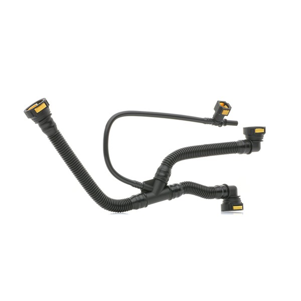 RIDEX 1600H16000043: Slang, vevhusventilation