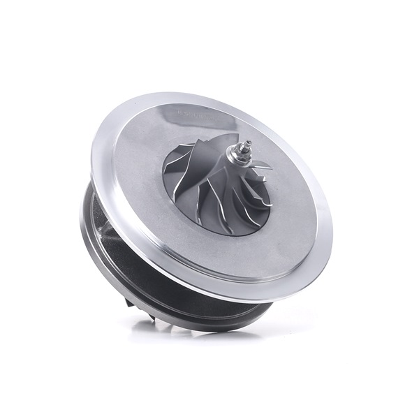 RIDEX 4973C0117: Turbo patroon Met pakking