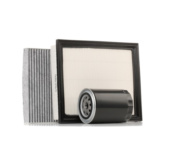 STARK SKFS-18880263: Filter kit