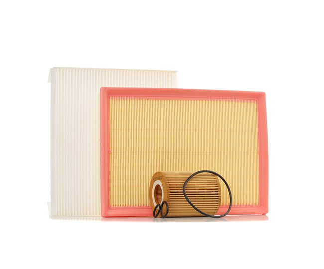 RIDEX 4055F0281: Filtrs-Komplekts