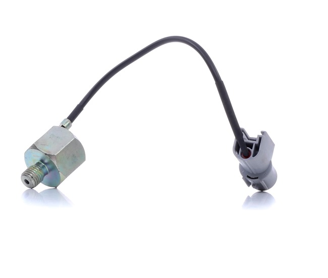 RIDEX 3921K0053 Klopsensor SUZUKI Wagon R+ Hatchback (MM) 76 Pk Benzine kosten