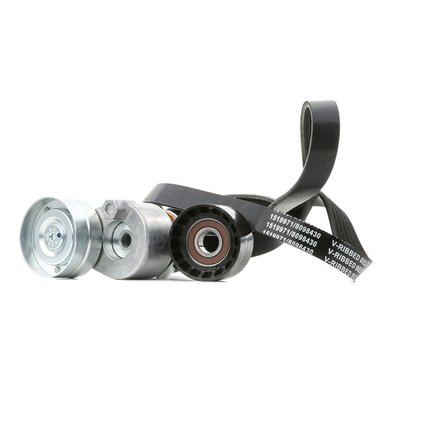 RIDEX 542R0667 Keilrippenriemensatz RENAULT TRAFIC 2 Bus (JL) 101 PS Diesel Kosten