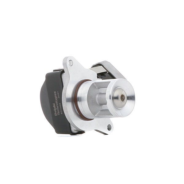 DELPHI EG10428-12B1: EGR klep Zonder AGR koeler