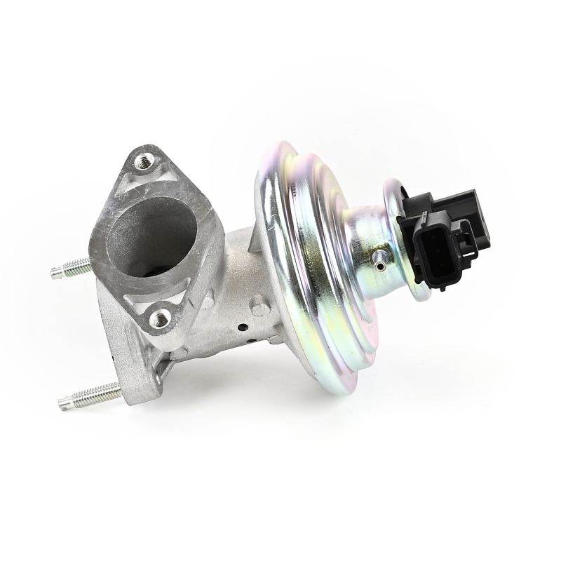 DELPHI EG10491-12B1: EGR-klapp ilma EGR- jahutita